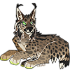 boxcarr's avatar