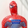 Boyzocool2012's avatar