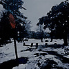 BrabiMital's avatar