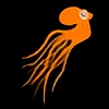 braillce's avatar