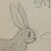 Brairrabbit's avatar