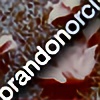 brandonorcino's avatar