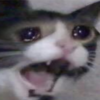 briana4210's avatar