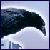 Bright-Raven's avatar