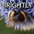 brightlys's avatar