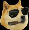 browzydogeee5's avatar