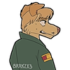 BRRKZX3's avatar