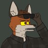 BruhiFox's avatar