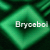 bryceboi's avatar