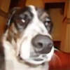 btard1's avatar