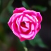 BttrflyKisses's avatar