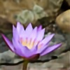BuddhikaMH's avatar