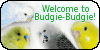 Budgie-budgie's avatar