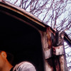 Bug-photography's avatar