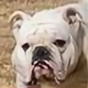 Bulldogzeta's avatar