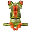 Bullfrog59's avatar