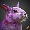 Bunnycompany2's avatar