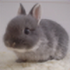 bunnylover202's avatar