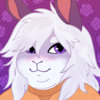 bunnynoah's avatar