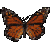 Butterfly-Gift's avatar