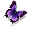 Butterfly-She's avatar