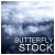 butterfly-stock's avatar