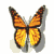 butterfly7981's avatar