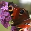butterfly87's avatar