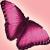 ButterflyBaby1986's avatar