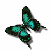 butterflyhippy's avatar