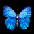 ButterflyShards's avatar
