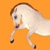 bykirahsc's avatar