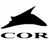 c0r's avatar