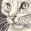 cabbitsy's avatar