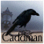 caddman's avatar