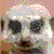 cageweasel's avatar
