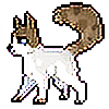 caIicocat's avatar