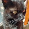 caiteybearbarry's avatar