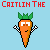CaitlinTheCarrot's avatar