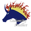 Calamity-Studios's avatar