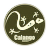 CalangoMaster's avatar