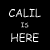 calil's avatar