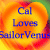 CallovesSailorVenus0's avatar