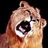 calzonemaniac's avatar
