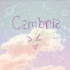 CambiiCat's avatar