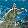 CambrianTimebomb's avatar