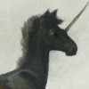 Camelid's avatar