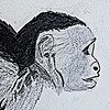 CamilleGtn's avatar