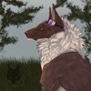 Cani-Wolf's avatar