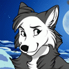 Canir's avatar